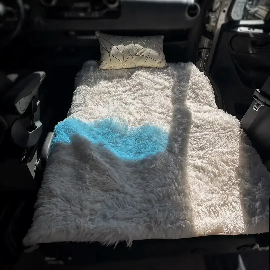 Upgraded Double Passenger Seats