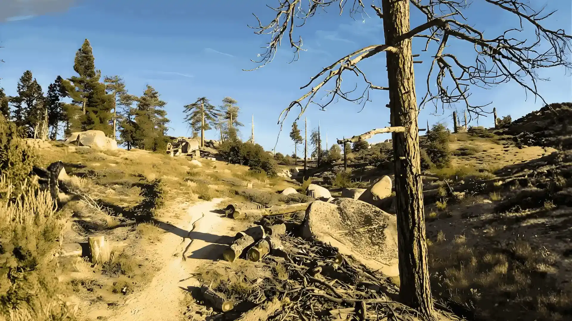 Hanna Flat Campground view 2