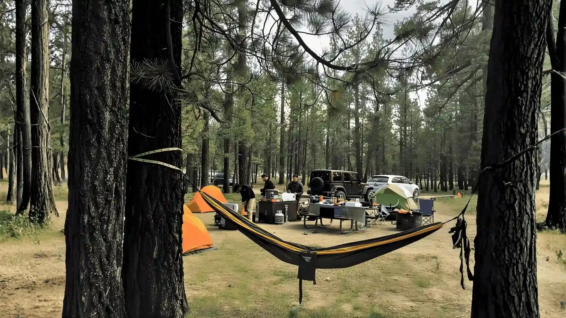 Holcomb Valley Campground view 1