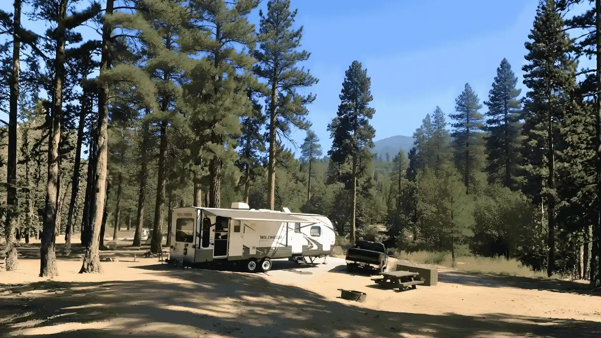 Barton Flats Campground view 1