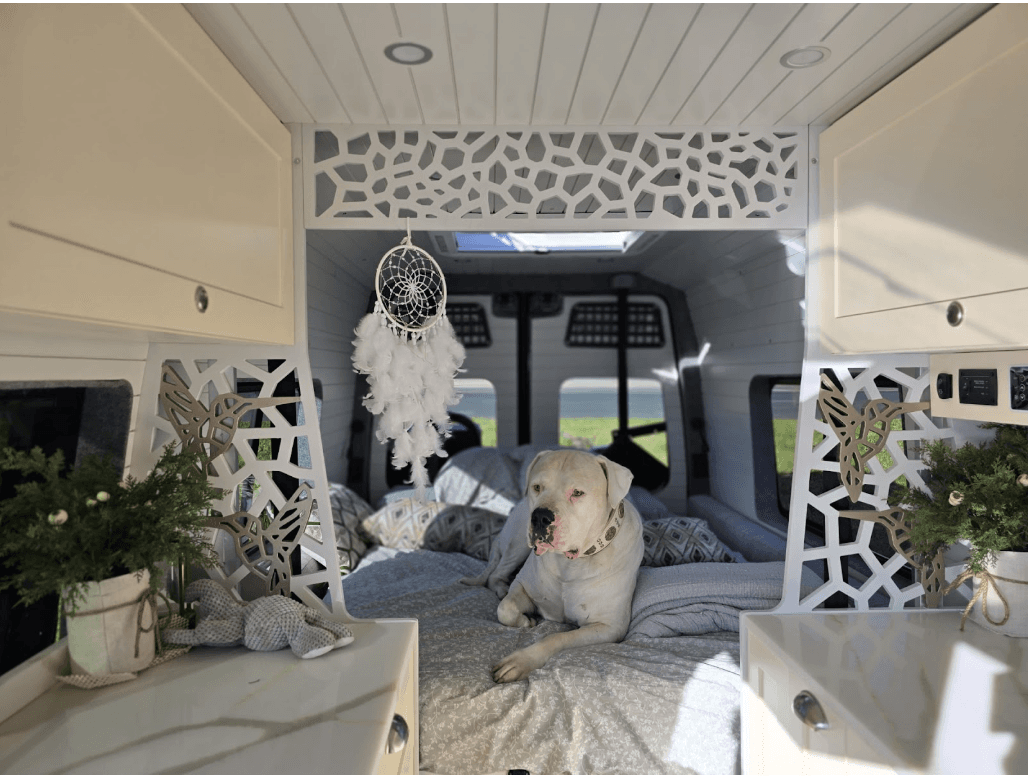 Why Choose My CustomVan for Your Pet-Friendly Campervan?