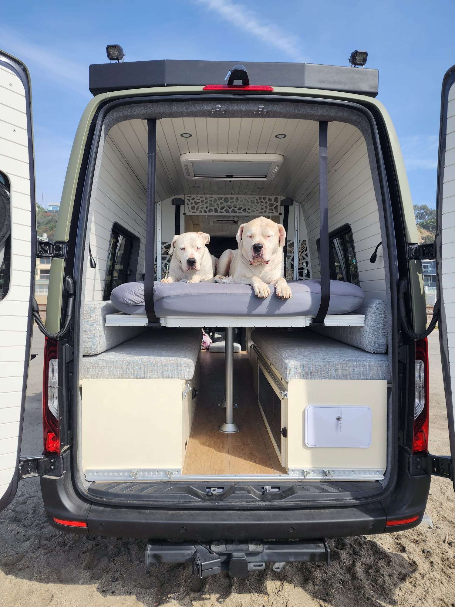 Pet Safety in Campervan: What Every Owner Needs to Know?